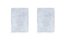 F&P SleepStyle CPAP Filter (2 Pack)
