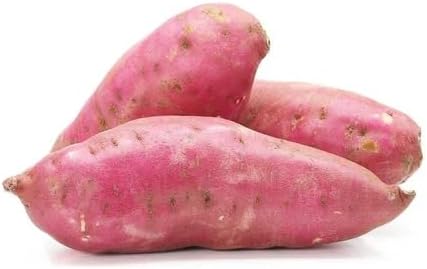 80pcs Sweet Potato Vegetable Seeds