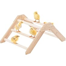 PETSFIT Chick Perch Prevent Rotation Design, Strong Wooden Chicken Roosting Bar, Easy to Assemble and Clean, Fun Toys for Chick Indoor/Outdoor Use