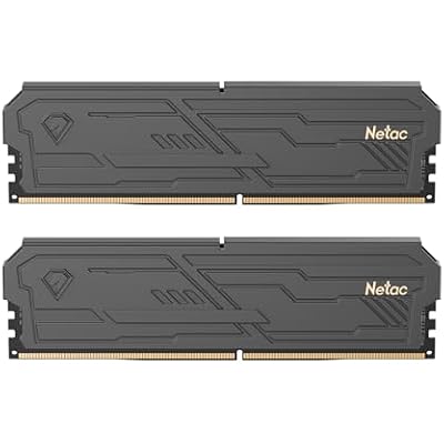 Netac DDR4 DRAM 32GB Kit 2x16GB 3200MHz XMP 2.0 Dual Channel RAM CL16 PC4-25600 1.35V 288-Pin Upgraded Aluminum Heat Sink Ideal for Gaming Computer Upgrade - Shadow III Series Black