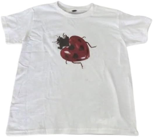 Whimsy Twee Clothes for Women Oversize Graphic Ladybug Tee Y2k Fashion Whimsical Clothes 2025