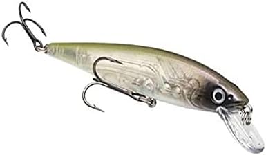 Strike King KVD Jerkbait 2 Hook
