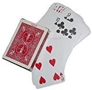 Double Face Bicycle Deck