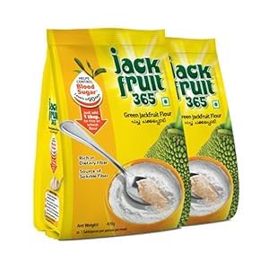 Jackfruit Flour 400 g(Pack of 2)