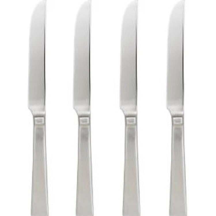 Oneida Techny for Crate & Barrel Dinner Knife, Set of 4
