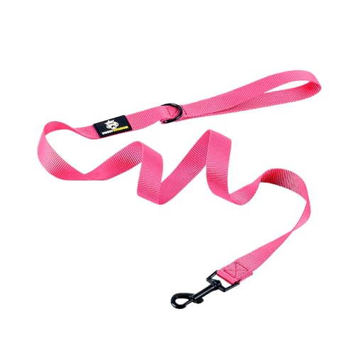 DOGGYKINGDOM Nylon Dog Leash - Strong, Durable, 1 inch Wide and 4 ft Long Traditional Style Leash with Easy to Use Bolt Snap for Small Medium Large Dogs - Rose Red