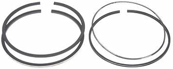 Clevite 77 M25S41548020 Perfect Circle Piston Ring Set