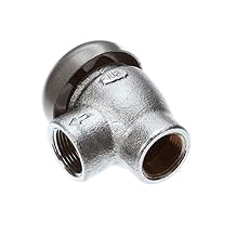 Blakeslee 05913 Vacuum Breaker, 3/4"