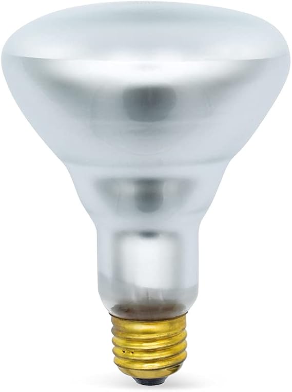 Technical Precision GE General Electric G.E 110R30/FL/RS Light Bulb