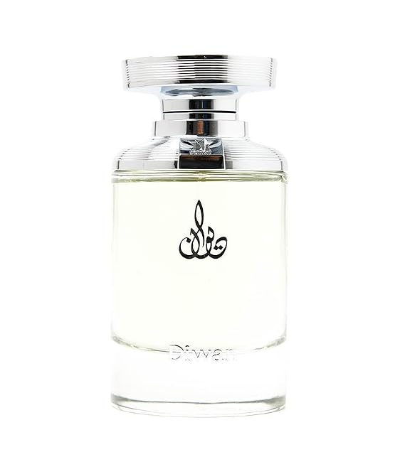 Arabian Oud DIWAN 50 ml | Eau de Parfum for Him