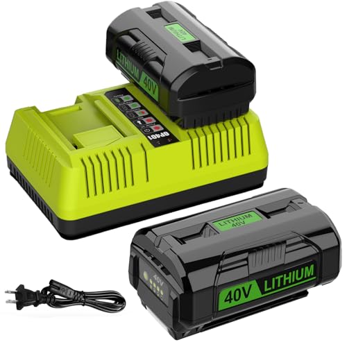ANTRobut 2 Pack 6.5Ah Replacement for Ryobi 40V Battery OP4026 OP4030 0P4040 OP4050 OP4060, with Dual Port 40V Charger