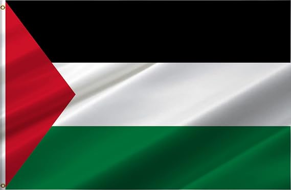 Palestine Flag 2x3 FT,Palestinian National Flags with 2 Brass Grommets,Sturdy Double Stitched and Premium Polyester. (2x3ft)
