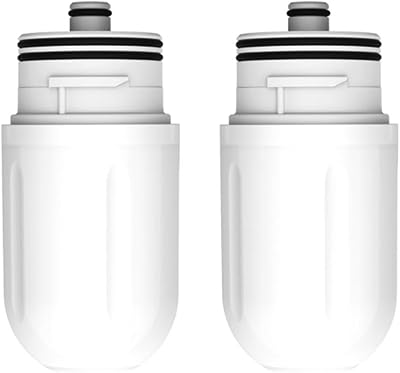 Bidet Attachment for Toilet with 2 Pack Filter,Ultra-Slim Non-Electric Self Cleaning Dual Nozzle Hygienic Bidet Toilet Seat,Removes Chlorine, Filters with Pressure Controls Only 2 Pack Filter
