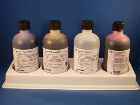 BBL Gram Stain Kits (250 mL)