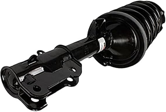 Motorcraft Strut