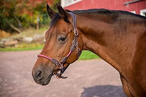 Henri de Rivel Ergonomic Leather Rope Halter