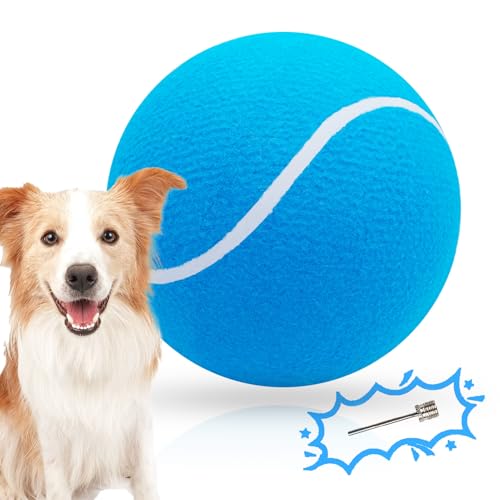 Banfeng Big Tennis Ball for Dogs, Giant Dog Tennis Ball Toy Large Outdoor Sports Gift for Small Medium Large Dog Sky Blue, 9.5 inch