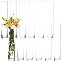 12 Pcs Glass Cylinder Bud Vases, Tall Glass Cylinder Vase, Small Clear Skinny Single Flower Vase for Party, Christmas, Birthday, Housewarming, Thanksgiving, Holiday Decorations