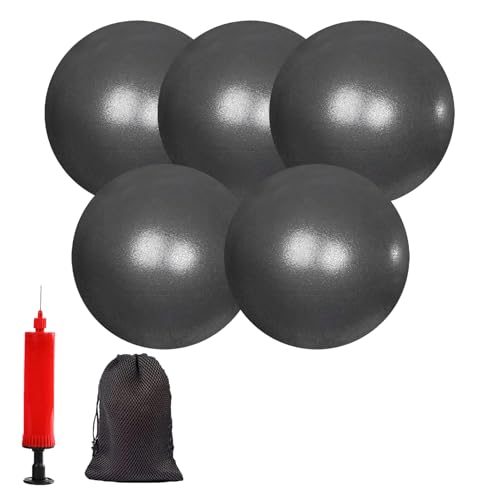 Mini Yoga Balls 6 Inch Exercise Pilates Therapy Balance Micropore Ball Barre Equipment for Home Stability Training Physical Core Training with Pump