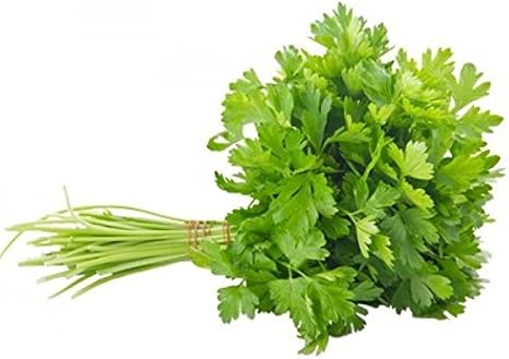 Premier Seeds Direct - Organic Herb Parsley Plain Leaved (french) 2500 Seeds
