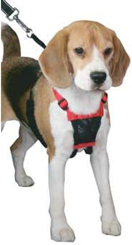 Non - pulling Mesh Harness Sml Black