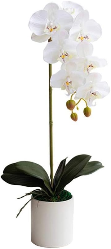 Yapay çiçek seti, yapay Phalaenopsis tek çiçekli, saksılı yapay orkide, vazoda için sahte çiçek, oturma odası için,