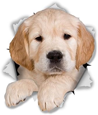 Winston & Bear 3D Dog Stickers - 2 Pack - Golden Retriever Puppy Stickers for Wall, Fridge, Toilet, Room - Retail Packaged Golden Retriever Dog Wall Decals
