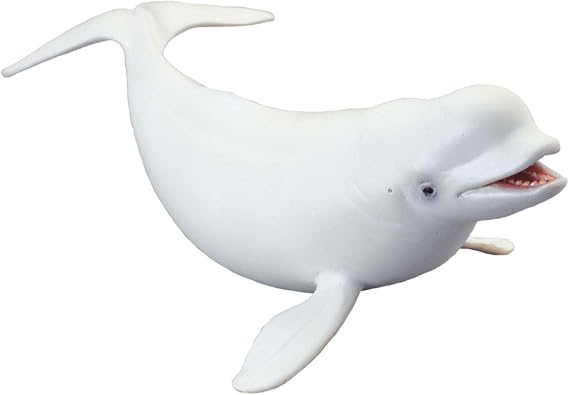 CollectA Beluga Whale, Sea Animal Figure