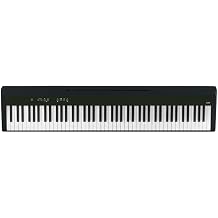 LANDTOM Intelligent 88-Key Heavy Hammer Amoy Series Digital Piano A100 Portable Electric Piano for Children Beginners and Professionals to Play Home and Outdoors (Piano, Black)