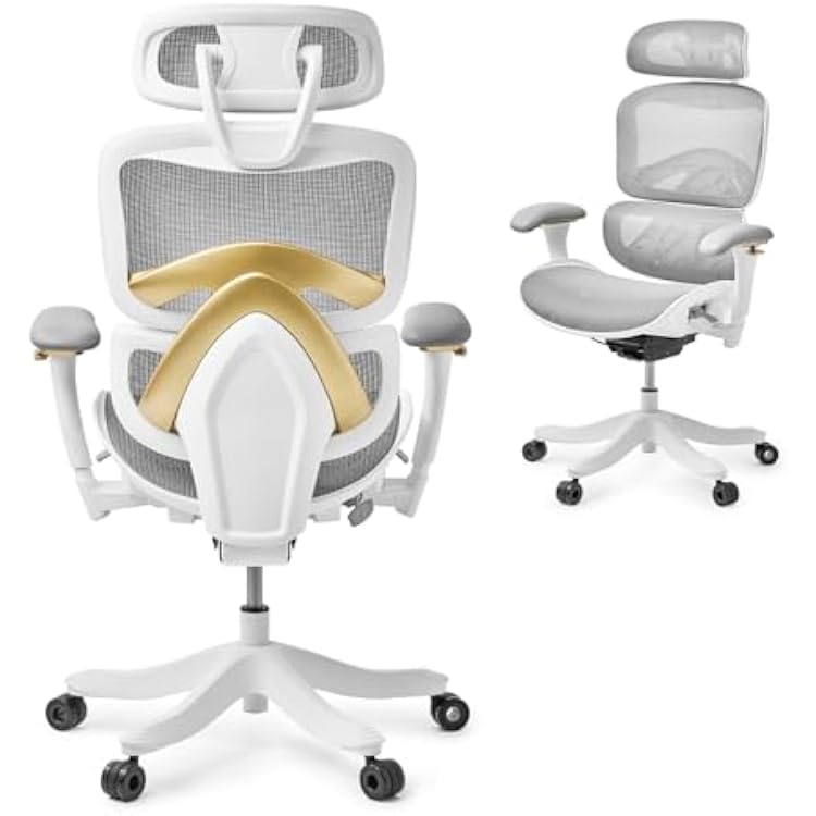 Nouhaus Ergo Kyrix Ergonomic Office Chair, High Back Mesh Office Desk Chairs with Lumbar Support, Adjustable Seat Depth, 3D Armrest, 2D Headrest, Comfy Big and Tall Computer Gaming Chair Grey