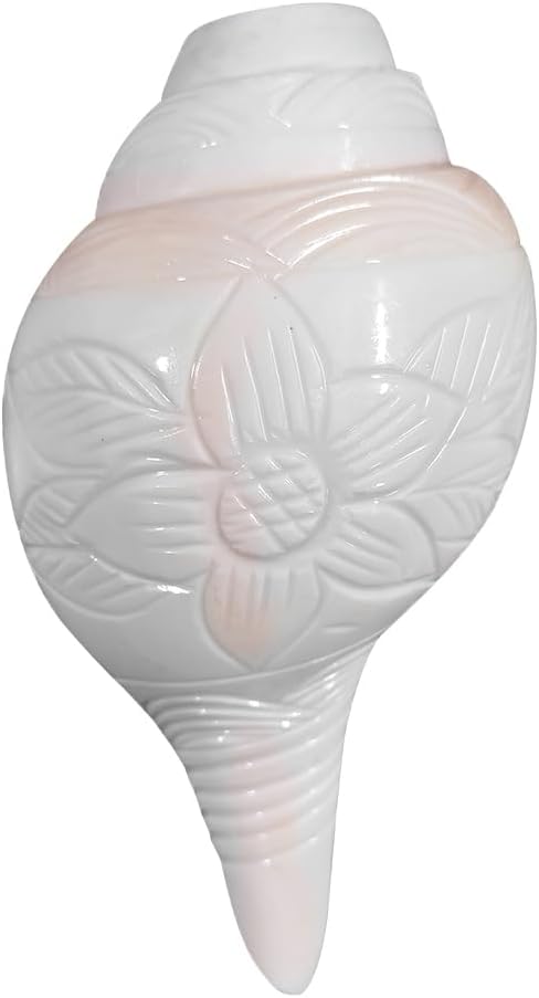 Divine Pooja Blowing Shankha for Aarti (Bajane Wala) Shanku - 6.5 inches