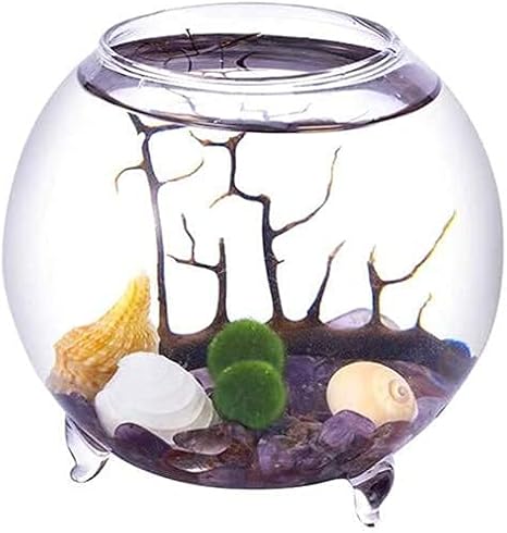 Ecosides Marimo Moss Ball Terrarium Kit, Blown Aquarium Set,Ball Glass Vase Container Desktop Decoration, With Living Moss Balls, Pebbles,Shell and Black Fan,Coral (Spherical)
