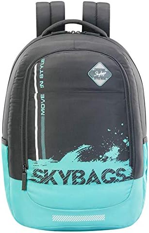 Skybags 3 Compartments BFF 3 28 Litre Backpack Grey