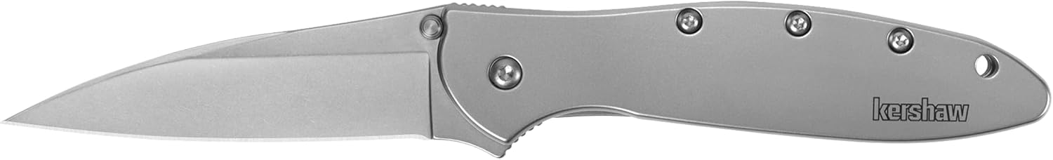 Kershaw Leek Pocket Knife, 3" 14C28N Stainless Steel Drop Point Blade, Spring Assisted Knife, Folding EDC