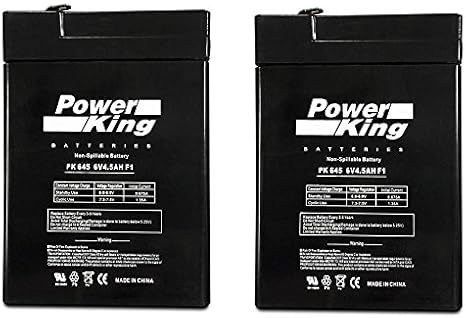 My Little Pony 6V Little Quad Replacement Battery(2) Pack Beiter DC Power