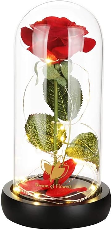 Beauty and The Beast Rose Set-The Best Holiday Surprise Gift for Mothers, Beautifully Decorated With Red Silk Roses, LED Lights, Dome Glass and Wooden Base