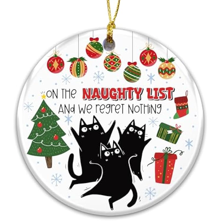 Funny Black Cat Christmas Ornament 2025 On The Naughty List and We Regret Nothing Ceramic Holiday Ornament Cute Cat Lover Gift, Naughty Pet Christmas Tree Decoration, Stocking Stuffer