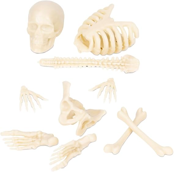 Accoutrements Itty Bitty Bones Glow in The Dark 10 Piece Set - Miniature Bones for Tiny Halloween Displays - Random Soft Vinyl Bones Skull Femur Spine Ribs Pelvis from Archie McPhee