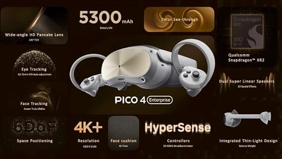 Pico 4E (Enterprise) VR Headset