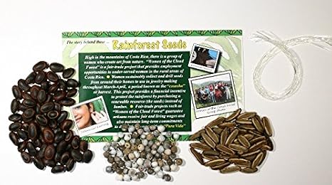 Nature-Watch Rainforest Seed Bracelet Project (Makes 25 Projects)