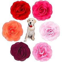 PET SHOW Pack of 6pcs Dog Collar Bows and Flowers Attachment for Girls Puppies Cats Female Small Medium Dogs Collars Chiffon Embellishment Decor for Wedding Birthday Parties Grooming Accessories