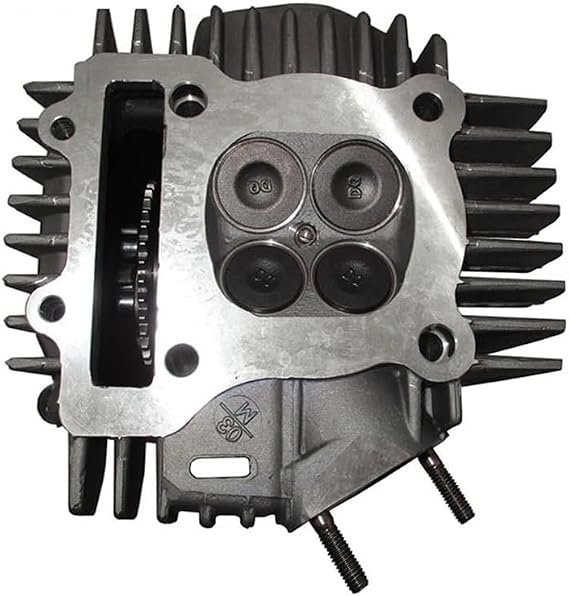 Accessories Engine Head Assembly for Daytona 190cc 212cc 4 Valve Engine