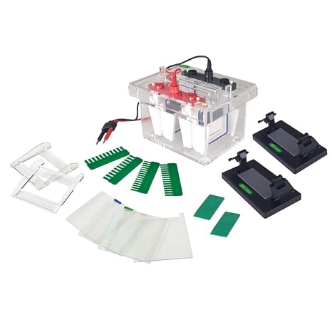FSF-SCZ4+ Mini Protein Electrophoresis System, Vertical Gel Casting, 15-Sec Setup, 15 Wells, Leakproof, Lab Research and Quality Control