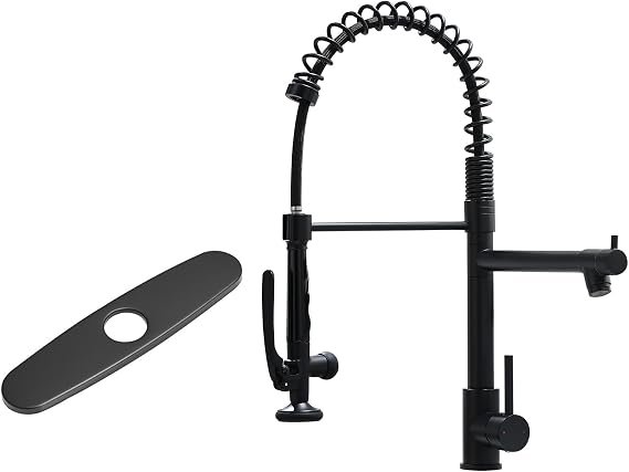 Fapully Black Kitchen Faucet with Deck Plate