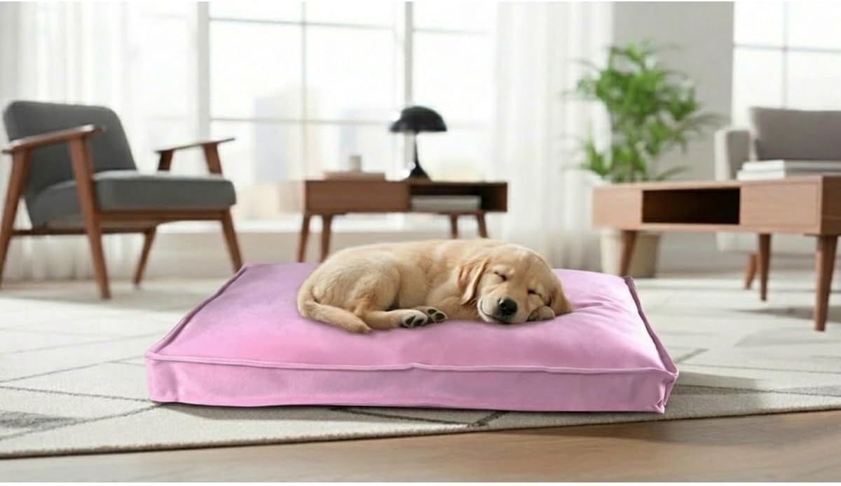Premium Kedi Köpek Yatağı - 50X70 Fermuarlı Yıkanabilir Minder, Pembe