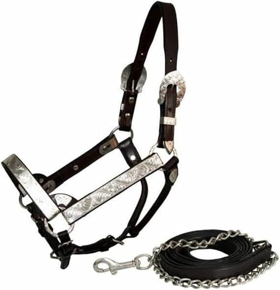 Showman Dark Brown Leather Full Size Horse Engraved Silver Show Halter w/Lead