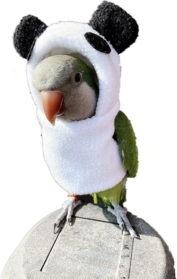 Bird Clothes Birds Flight Suit, Cute Panda Hoodie Costume for Parrots African Greys Parakeet Cockatiel Sun Conure Christmas Party Birthday Cosplay Photo Prop Small Animals Apparel (L,Panda Hoodie)