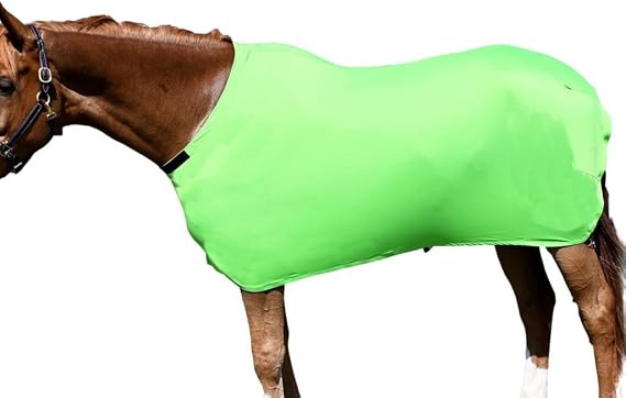 StretchX Full Sheet S Lime Green