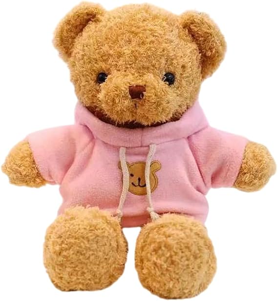Teddy Bear Stuffed Animal, Teddy Bear Plush Toy, Birthday for Kids Boys Girls Friends (Pink, 12inch)