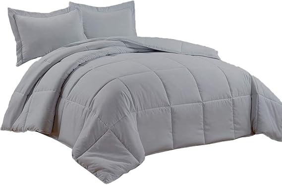 Queen Lightweight Comforter Silver - All Season Down Alternative Bed Comforter Summer Duvet Insert Quilted Comforters Square Embossed (Queen92 x88, Silver)